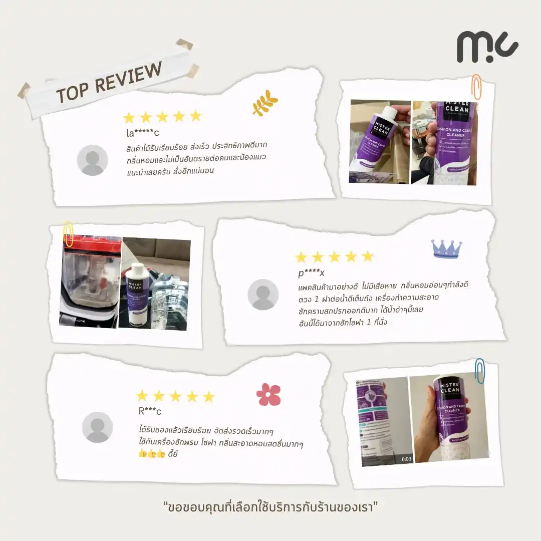 Mister Clean Carpet and Cushion Cleaner 450 ml. - Image 2